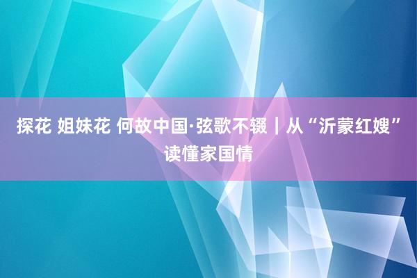探花 姐妹花 何故中国·弦歌不辍｜从“沂蒙红嫂”读懂家国情