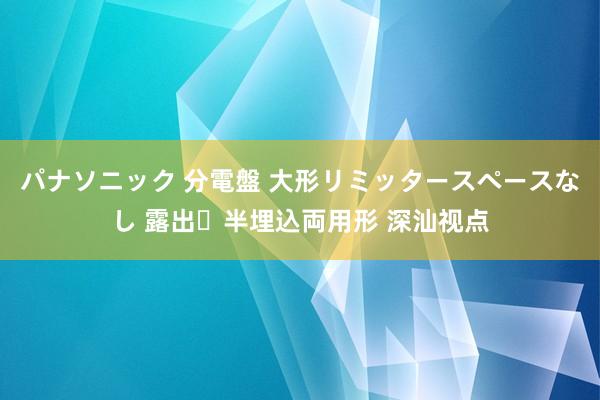パナソニック 分電盤 大形リミッタースペースなし 露出・半埋込両用形 深汕视点