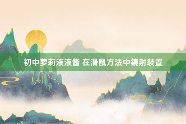 初中萝莉液液酱 在滑鼠方法中鏡射裝置