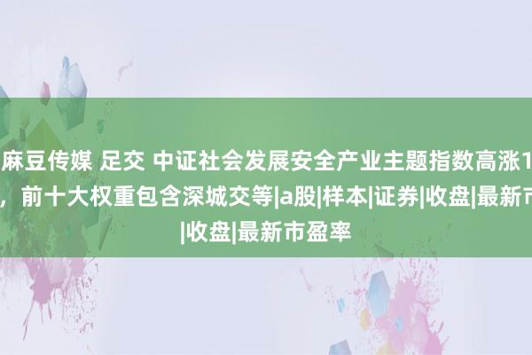 麻豆传媒 足交 中证社会发展安全产业主题指数高涨1.48%，前十大权重包含深城交等|a股|样本|证券|收盘|最新市盈率