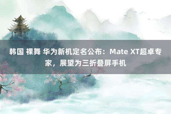 韩国 裸舞 华为新机定名公布：Mate XT超卓专家，展望为三折叠屏手机