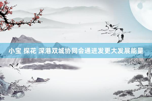 小宝 探花 深港双城协同会通迸发更大发展能量