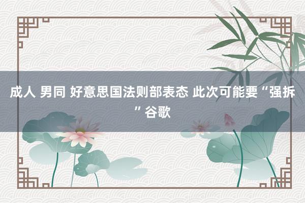 成人 男同 好意思国法则部表态 此次可能要“强拆”谷歌