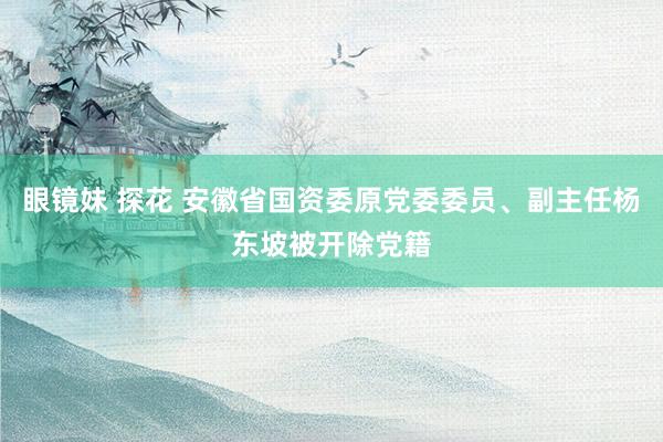 眼镜妹 探花 安徽省国资委原党委委员、副主任杨东坡被开除党籍