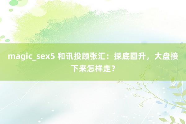 magic_sex5 和讯投顾张汇：探底回升，大盘接下来怎样走？