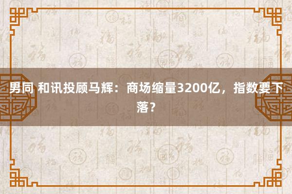 男同 和讯投顾马辉：商场缩量3200亿，指数要下落？