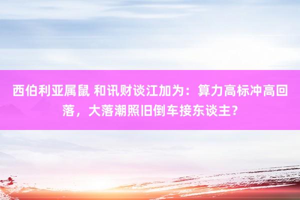 西伯利亚属鼠 和讯财谈江加为：算力高标冲高回落，大落潮照旧倒车接东谈主？